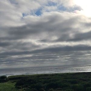 Meet your Posher, Elisabeth